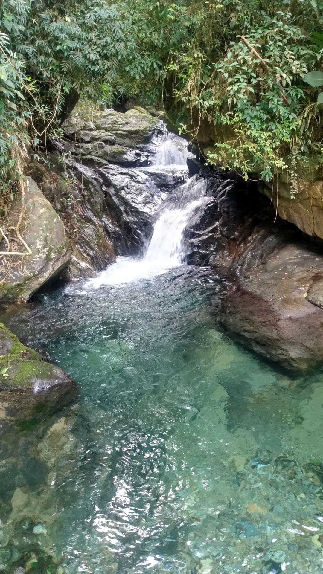 Imagem da praia de Natal vista do alto de uma Duna