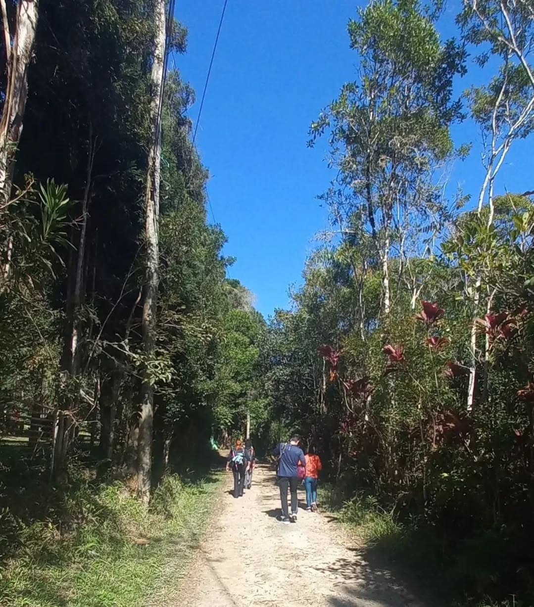 Imagem da praia de Natal vista do alto de uma Duna